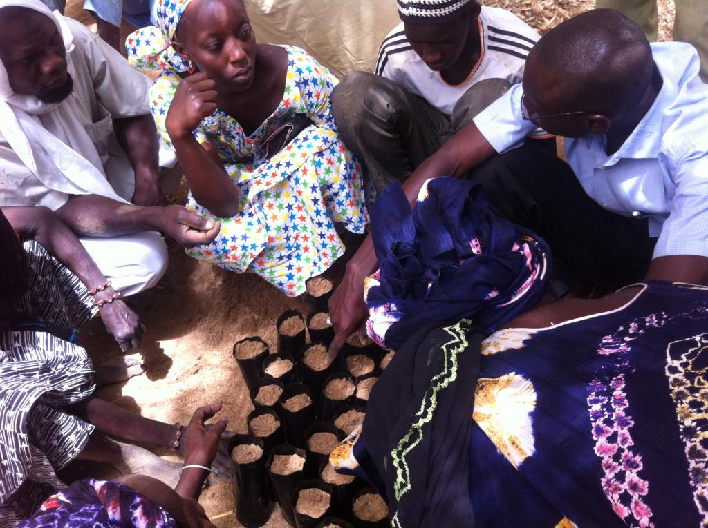 Communities of Northern Senegal Take Part in Agroforestry Training