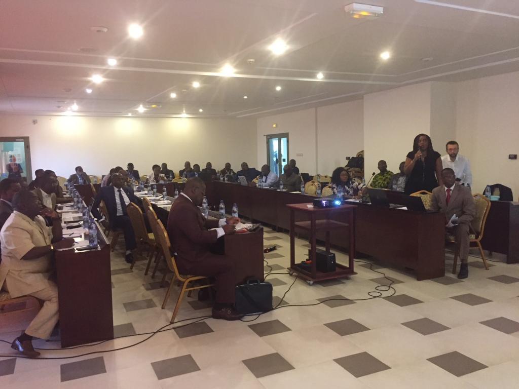Piloting the “Policy cycle, integrated approaches and SDGs” toolkit in Togo